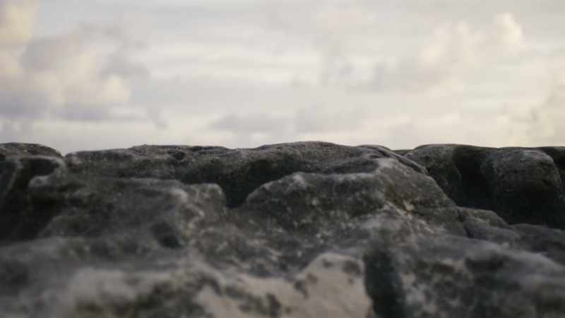 And the ebbing tide has exposed a rocky reef