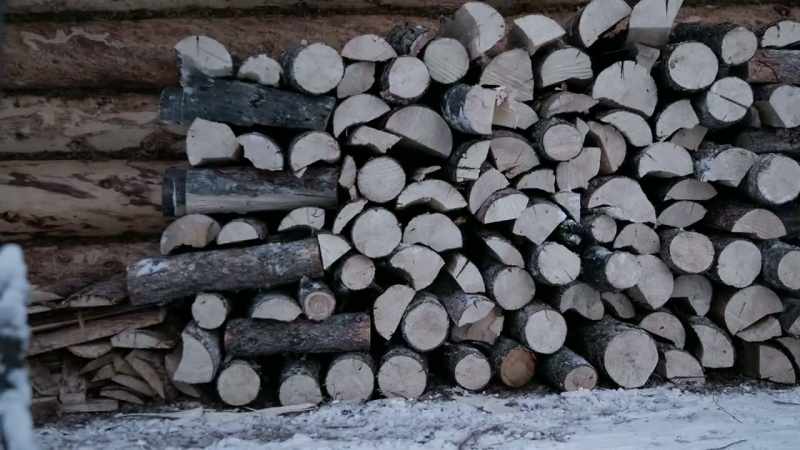 And the firewood is the blood that makes it run