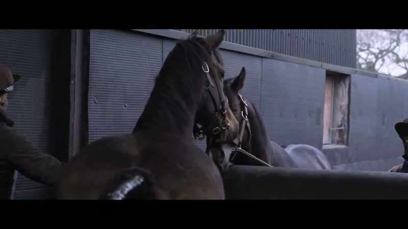 And the less times we cover the mare