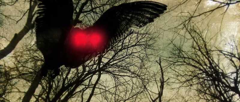 And the Mothman, it's seen in the dark sometimes