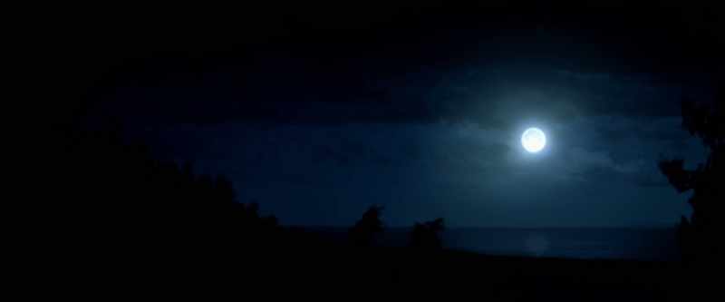 and-the-nature-spirits-around-me