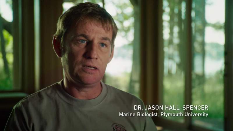 And the ocean's chemistry is changing really rapidly