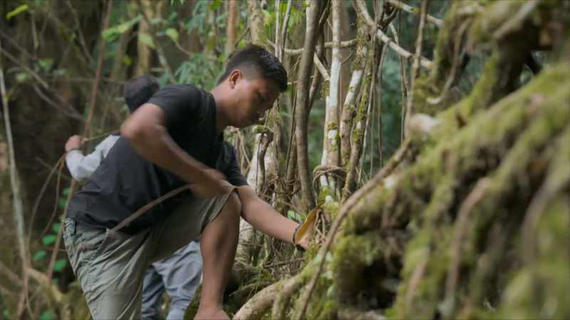 And the people who start these projects, these root bridges