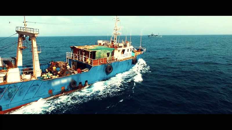 And the same syndicates that are behind illegal fishing