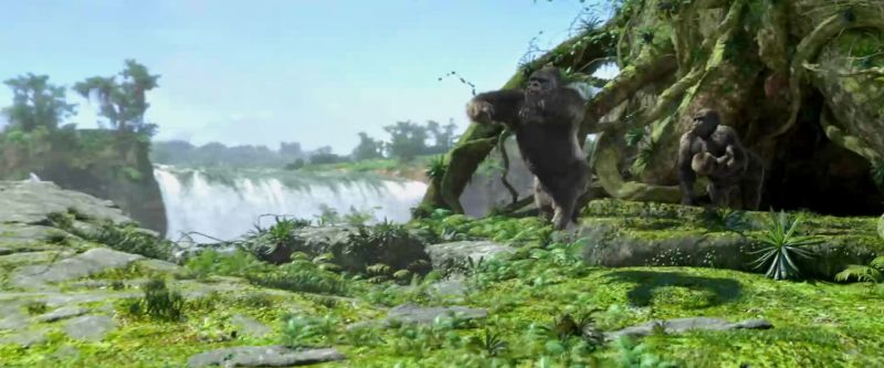 And so the silverbacks had to fight