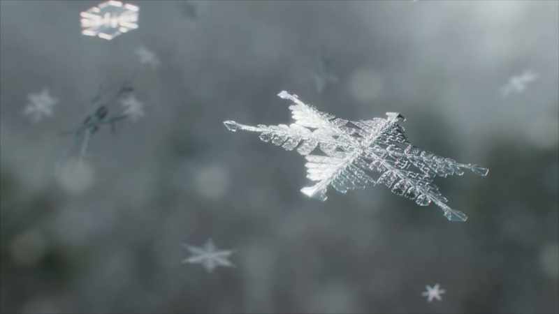 and the water droplets they carry turn into snow