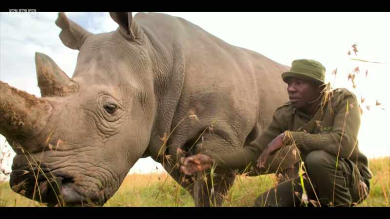 And their plight awaits one million more species