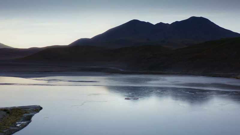 And then, one morning, after a particularly cold night