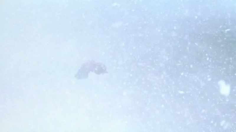 And then the snows came