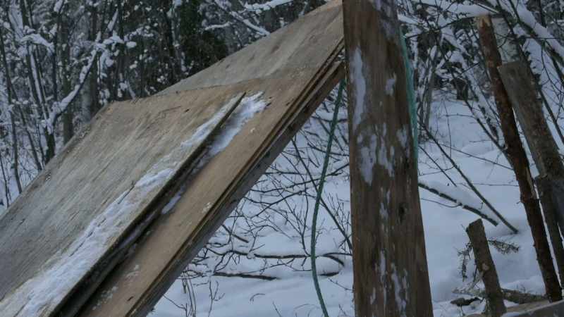 And then those two big plywood sheets