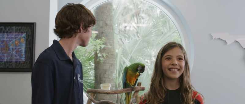 And there is a reason why there's a parrot in my office?