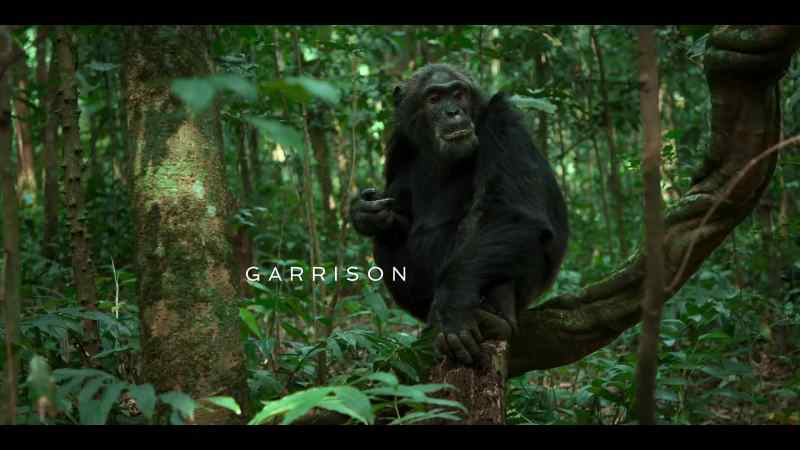 And there are chimps in the group that won't stop there