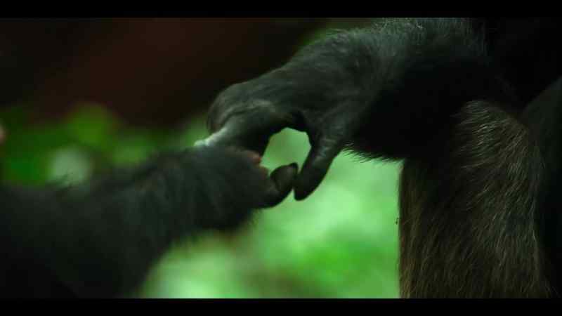 And there are experienced mothers she can use as a role model