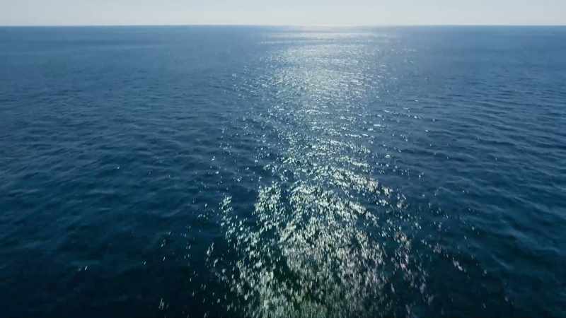 And there are many in these coastal waters