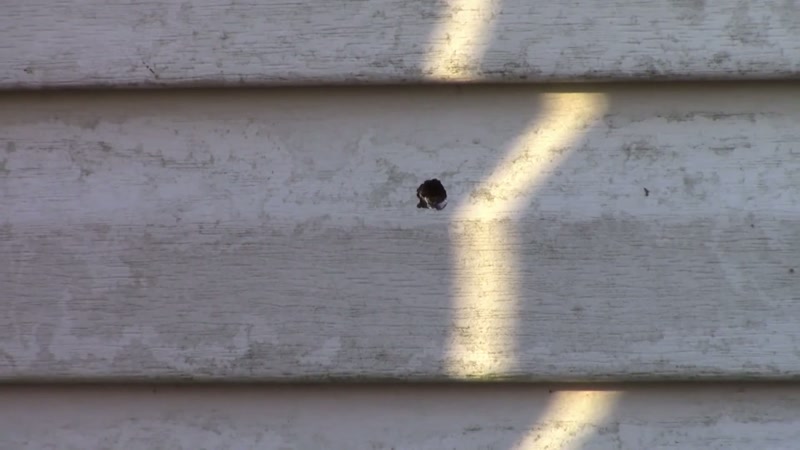 And so there was some damage to that bullet