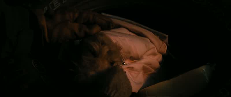 And there was this shivering, tiny, little thing