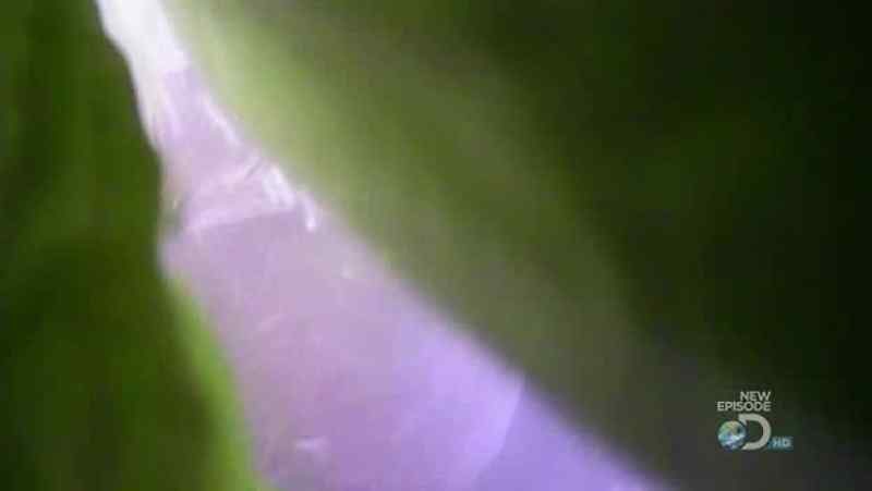 AND THERE YOU GO. LOOK
