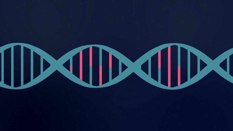 And there's mutations on our genetic maps, potentials