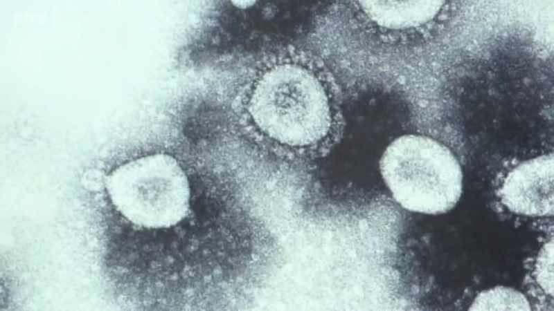 And these are common cold viruses