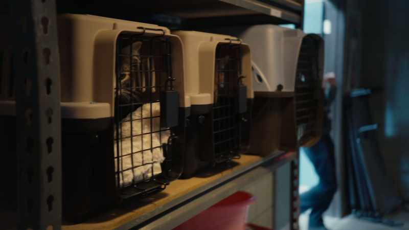 And these... are the kennels, girlfriend