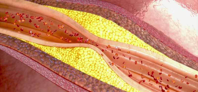 And these enzymes are able to take up sugar molecule
