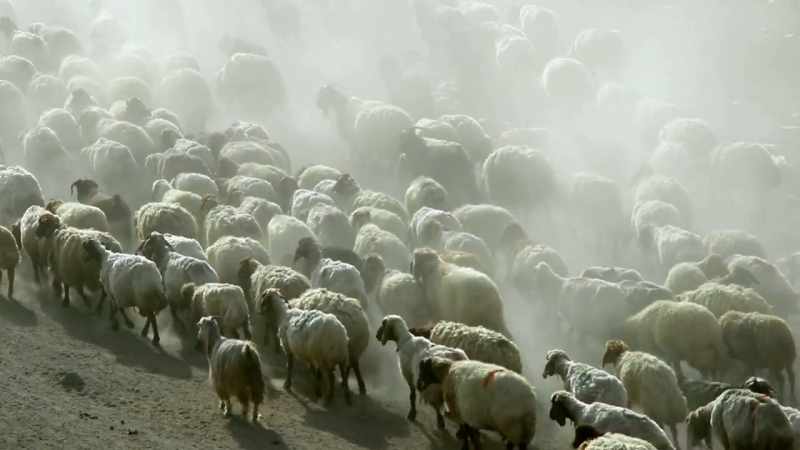 And these farmers needed permanent homes