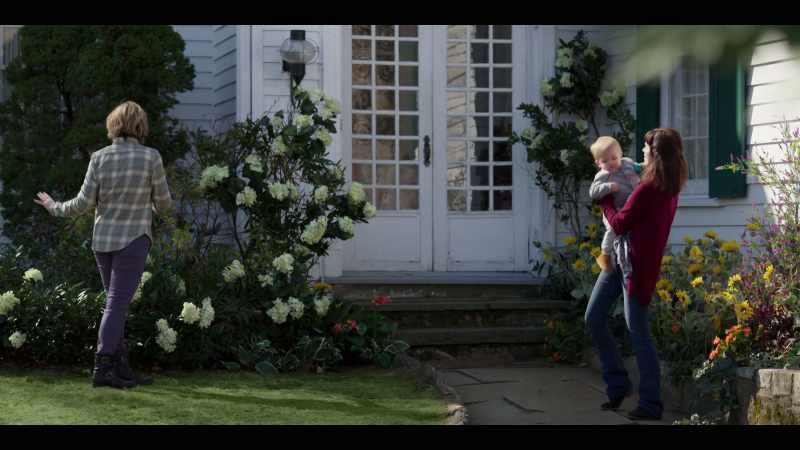 And these hydrangeas... you usually have to replace