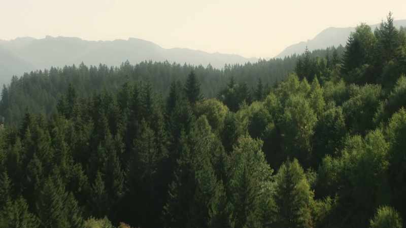 And as they do, they create higher, cooler landscapes