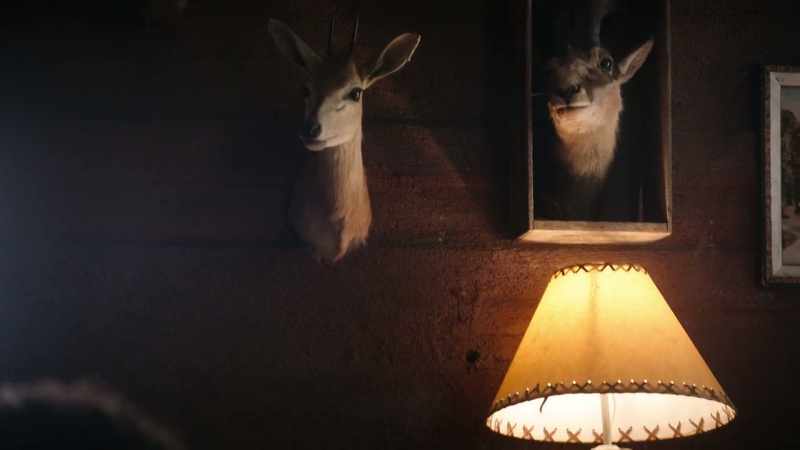 And they're going to understand that a hunter came by, saw his suffering