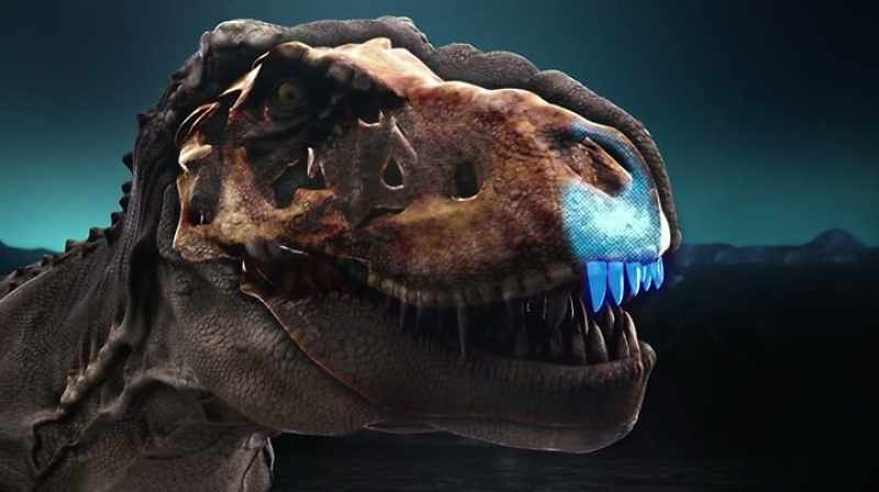 AND THEY'RE NOT ALL IDENTICAL-SIZE TEETH IN A JAW