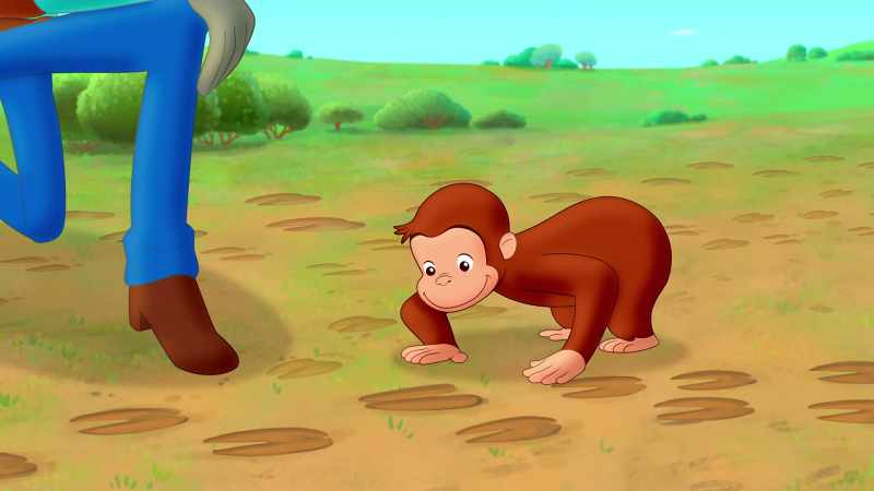 And those are sheep tracks, and pig tracks