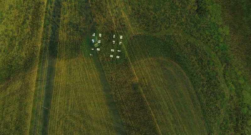 And as those grasslands and all disappeared