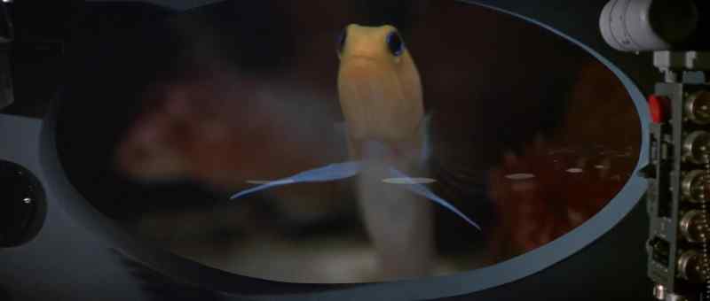 And those jawfish!