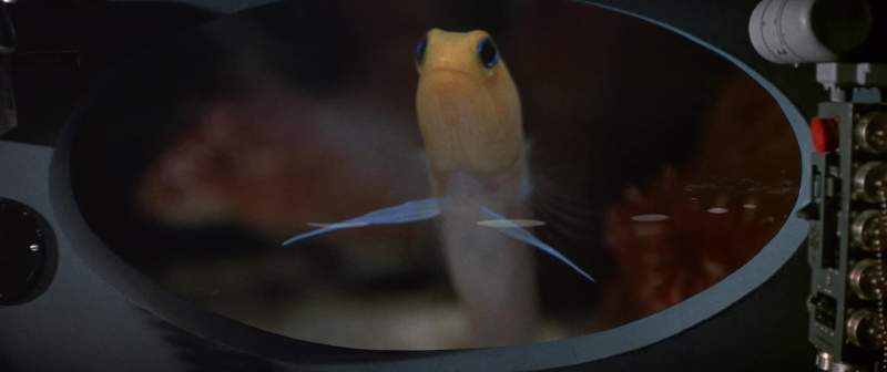 And those jawfish