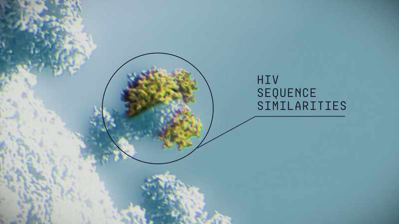 And those three inserts allow this virus