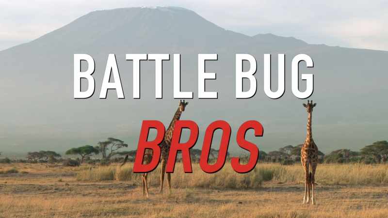 And tonight, we're turning into the Rap Battle Bug Bros