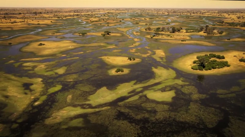 and transforms it into a vast wetland paradise