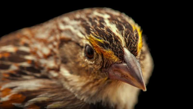And turn things around for this bird