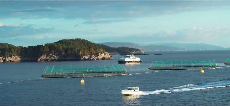 And, um, seafood is the second largest export