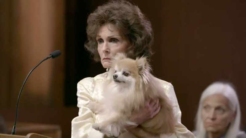 And understand, your dog is your dog