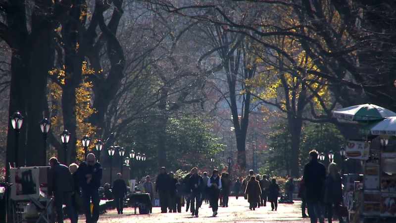 And they walked straight to Central Park