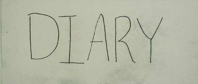 And this was all in her diary, which, again, was leaked