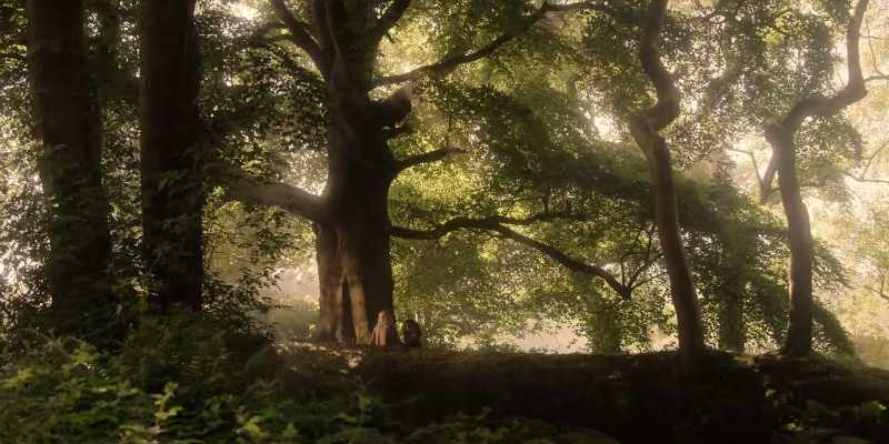 And it was beneath the village wishing tree
