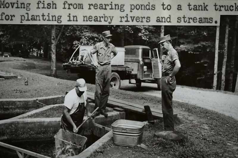 And it wasn't until, in the seventies, that we really started evaluating