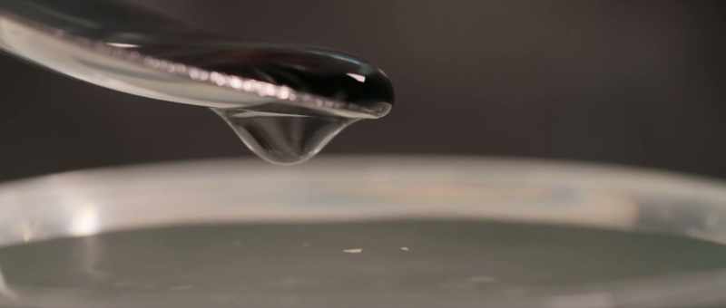 And water molecules don't just attract each other