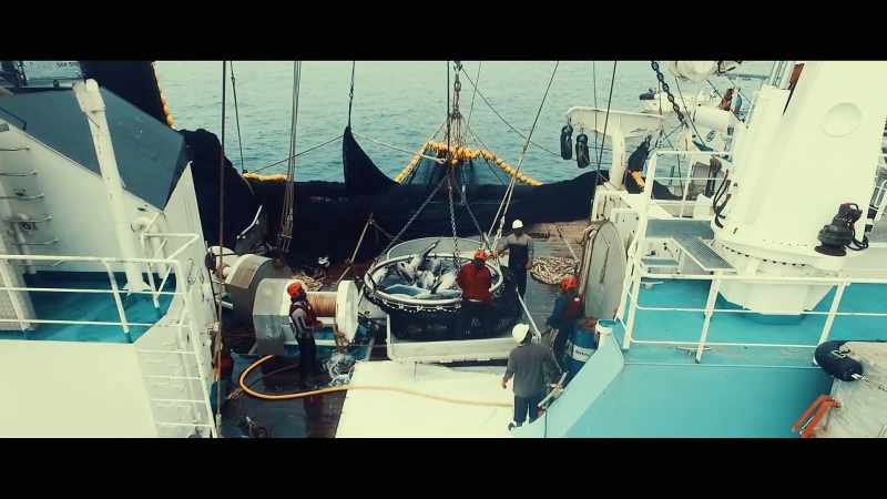And what they're catching is worth huge, huge amounts