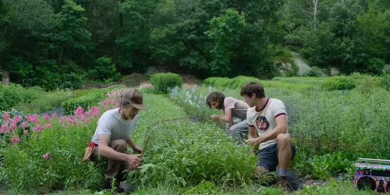 And what weeds are in that same family? Alex?