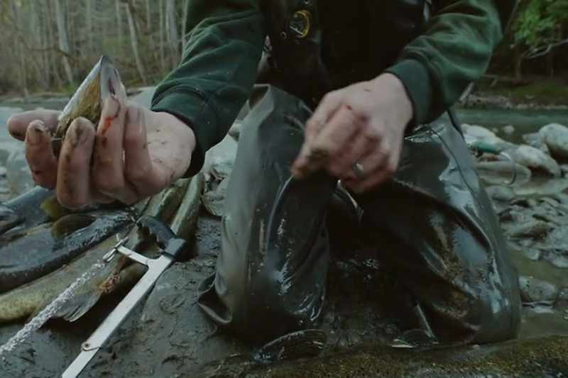 And that would have information on the fish