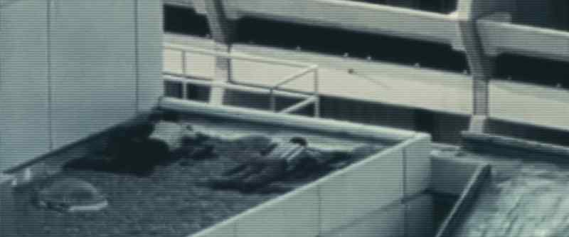 And as you can see from this footage