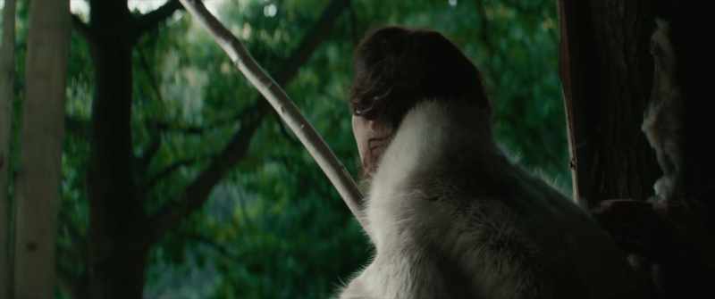 And you, my king
